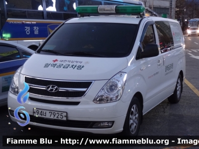 Hyundai
대한민국 - 大韓民國 - Republic of Korea - Repubblica di Corea
Ambulances
