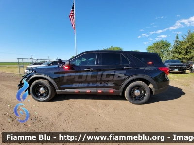 Ford Explorer
United States of America - Stati Uniti d'America
Big Lake MN Police Department
