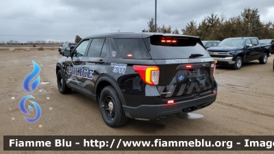 Ford Explorer
United States of America - Stati Uniti d'America
Kenyon MN Police
