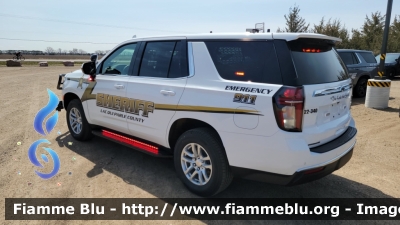 Chevrolet Taohe
United States of America - Stati Uniti d'America
Lac Qui Parle County MN Sheriff
