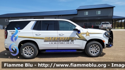 Chevrolet Taohe
United States of America - Stati Uniti d'America
Lac Qui Parle County MN Sheriff
