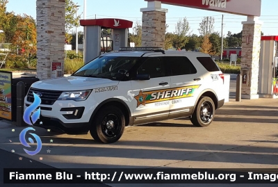 Ford Explorer
United States of America - Stati Uniti d'America
Hernando County FL Sheriff
