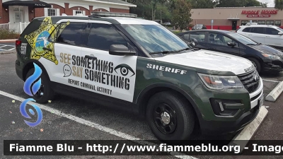 Ford Explorer
United States of America - Stati Uniti d'America
Hernando County FL Sheriff
