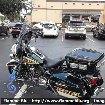 Harley Davidson
United States of America - Stati Uniti d'America
Hernando County FL Sheriff
