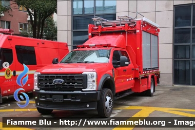 Ford F-550
中国 - China - Cina
Shanghai Fire service
