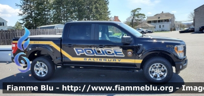 Ford F-150
United States of America-Stati Uniti d'America
Salisbury Township PA Police
