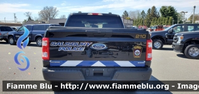 Ford F-150
United States of America-Stati Uniti d'America
Salisbury Township PA Police
