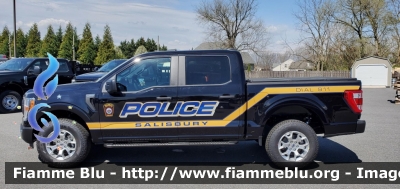 Ford F-150
United States of America-Stati Uniti d'America
Salisbury Township PA Police
