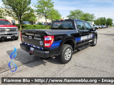 Ford F-150
United States of America - Stati Uniti d'America
Matteson IL Police
