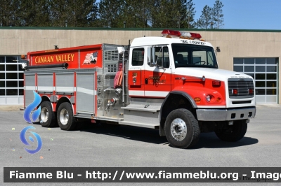 Freightliner ?
United States of America-Stati Uniti d'America
Canaan Valley WV Volunteer Fire Department
