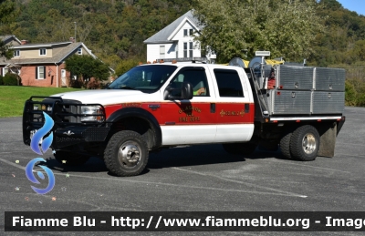 Ford F-350
United States of America - Stati Uniti d'America
Glasgow VA Volunteer Fire Department
