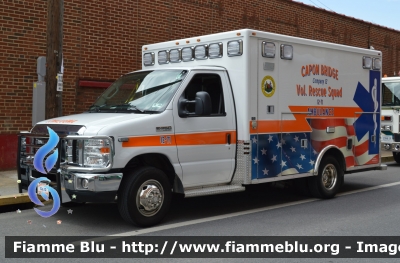 Ford E-350
United States of America-Stati Uniti d'America
Capon Bridge WV Rescue Squad
