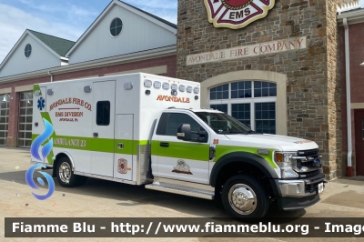 Ford F-550
United States of America - Stati Uniti d'America
Avondale PA Fire Company
