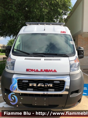 RAM Promaster
United States of America - Stati Uniti d'America
Bayou City EMS Group Houston TX
