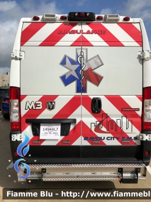 RAM Promaster
United States of America - Stati Uniti d'America
Bayou City EMS Group Houston TX
