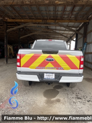 Ford F-150
United States of America-Stati Uniti d'America
Goliad County TX EMS
