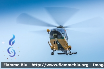 Agusta Westland AW169
Guardia di Finanza
Reparto Operativo Aereonavale
Sezione Aerea di Bolzano
Volpe 504
Parole chiave: Agusta_Westland AW169 GF504