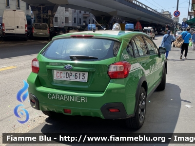 Subaru XV I serie
Carabinieri
Comando Carabinieri Unità per la tutela Forestale, Ambientale e Agroalimentare
CC DP 613
Parole chiave: Subaru XV_Iserie CCDP613