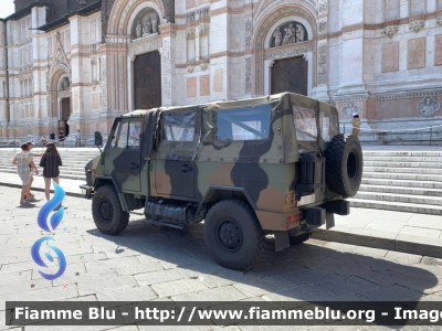 Iveco VM90
Esercito Italiano
Operazione Strade Sicure
EI DA 635
Parole chiave: Iveco VM90 EIDA195