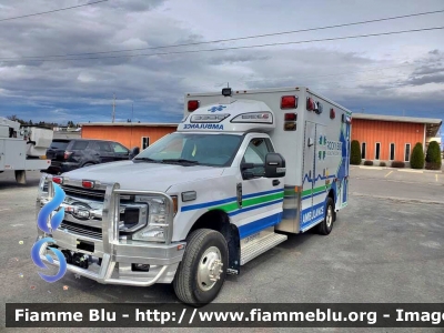 Ford F-350
United States of America-Stati Uniti d'America
Rocky Boy Tribal Health MT
Parole chiave: Ambulanza Ambulance