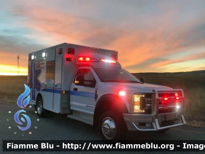 Ford F-450
United States of America-Stati Uniti d'America
Northeast Montana Health Services
Parole chiave: Ambulanza Ambulance