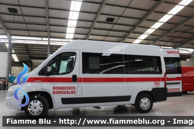 Fiat Ducato X290
Portugal - Portogallo
Bombeiros Voluntários de Mangualde
Parole chiave: Ambulanza Ambulance