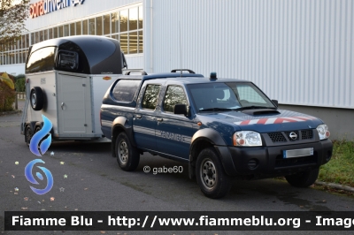 Nissan Navara III serie
France - Francia
Gendarmerie
