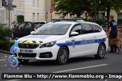 Peugeot 308 SW
France - Francia
Police Municipale Chantilly
