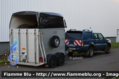 Nissan Navara III serie
France - Francia
Gendarmerie
