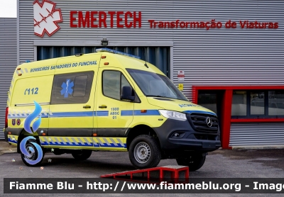 Mercedes-Benz Sprinter 4x4 IV serie
Portugal - Portogallo
Madeira - Bombeiros Funchal
Parole chiave: Mercedes-Benz Sprinter_4x4_IVserie Ambulanza Ambulance