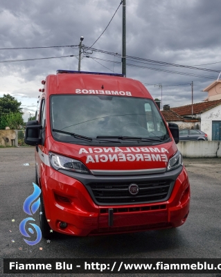 Fiat Ducato X290
Bombeiros Voluntários de Portel
Parole chiave: Ambulanza Ambulance