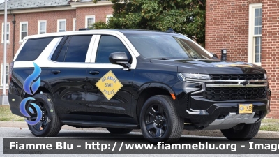 Chevrolet Taohe
United States of America - Stati Uniti d'America
Delaware State Police
