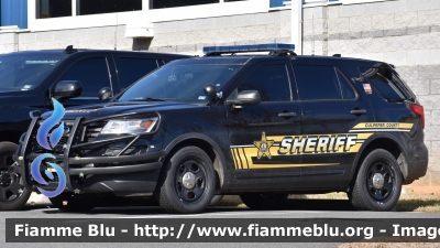 Ford Explorer
United States of America-Stati Uniti d'America
Culpeper County VA Sheriff
