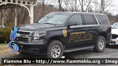 Chevrolet Taohe
United States of America-Stati Uniti d'America
Virginia Conservation Police
