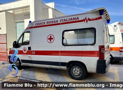 Fiat Ducato III serie 
Croce Rossa Italiana 
Comitato di Avezzano 
Unità Territoriale di Capistrello 
Allestimento Orion 
CRI A848B
Parole chiave: Fiat Ducato_IIIserie CRIA848B Ambulanza