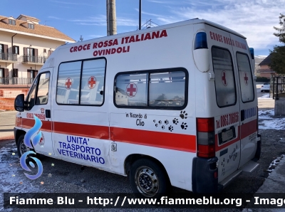 Fiat Ducato II serie 
Croce Rossa Italiana 
Comitato di Ovindoli 
Unità Trasporto Veterinario 
Allestimento Bollanti 
CRI 15645
Parole chiave: Fiat Ducato_IIserie Ambulanza CRI15645