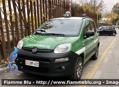 Fiat Nuova Panda 4x4 II serie 
Carabinieri 
Comando Carabinieri unità per la tutela Forestale Ambientale ed Agroalimentare 
Allestimento Elevox 
CC DM 422
Parole chiave: Fiat Nuova_Panda_4x4_IIserie CCDM422