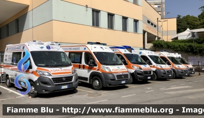 Autoparco 
118 Abruzzo Soccorso 
C.O. Di Teramo 
Parole chiave: Fiat Ducato_X290 Ambulanza