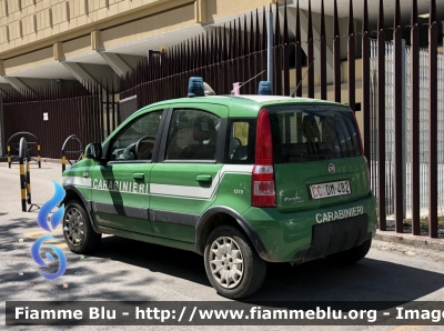 Fiat Nuova Panda 4x4 Climbing I serie 
Carabinieri 
Comando Carabinieri unità per la tutela Forestale Ambientale ed Agroalimentare 
CC DM 482
Parole chiave: Fiat Nuova_Panda_4x4_Climbing_Iserie CCDM482