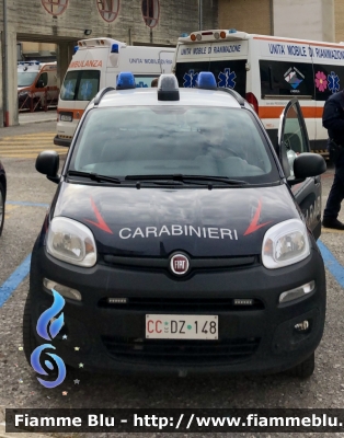 Fiat Nuova Panda 4x4 II serie 
Carabinieri 
Comando Carabinieri unità per la tutela Forestale Ambientale ed Agroalimentare 
CC DZ 148
Parole chiave: Fiat Nuova_Panda_4x4_IIserie CCDZ148