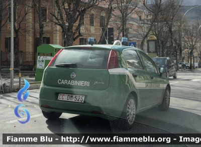 Fiat Grande Punto 
Carabinieri 
Comando Carabinieri unità per la tutela Forestale Ambientale ed Agroalimentare 
CC DM 525
Parole chiave: Fiat Grande_Punto CCDM525