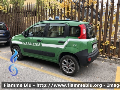 Fiat Nuova Panda 4x4 II serie 
Carabinieri 
Comando Carabinieri unità per la tutela Forestale Ambientale ed Agroalimentare 
Allestimento Elevox 
CC DM 422
Parole chiave: Fiat Nuova_Panda_4x4_IIserie CCDM422