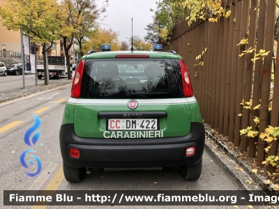 Fiat Nuova Panda 4x4 II serie 
Carabinieri 
Comando Carabinieri unità per la tutela Forestale Ambientale ed Agroalimentare 
Allestimento Elevox 
CC DM 422
Parole chiave: Fiat Nuova_Panda_4x4_IIserie CCDM422