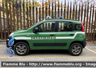 Fiat Nuova Panda 4x4 II serie 
Carabinieri 
Comando Carabinieri unità per la tutela Forestale Ambientale ed Agroalimentare 
Allestimento Elevox 
CC DM 422
Parole chiave: Fiat Nuova_Panda_4x4_IIserie CCDM422