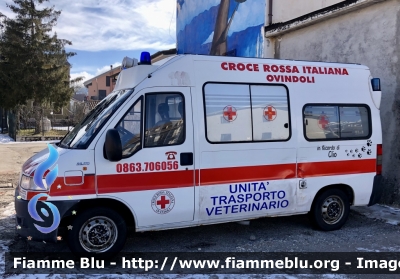 Fiat Ducato II serie 
Croce Rossa Italiana 
Comitato di Ovindoli 
Unità Trasporto Veterinario 
Allestimento Bollanti 
CRI 15645
Parole chiave: Fiat Ducato_IIserie Ambulanza CRI15645