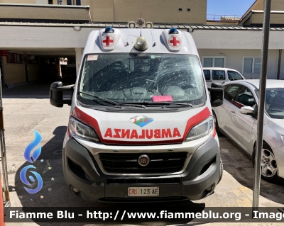 Fiat Ducato X290
Croce Rossa Italiana 
Comitato di Avezzano 
Unità Territoriale di Pescina 
Allestimento Orion 
CRI 123 AE
Parole chiave: Fiat Ducato_X290 Ambulanza CRI123AE