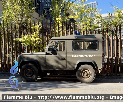 Land-Rover Defender 90
Carabinieri 
Comando Carabinieri unità per la tutela Fotestale Ambientale ed Agroalimentare 
CC BJ 259
Parole chiave: Land-Rover Defender_90 CCBJ259