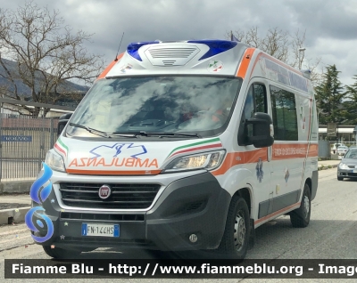 Fiat Ducato x290
Associazione Pubblica assistenza di Montereale 
Allestimento ODONE 
Parole chiave: Ambulanza Fiat Ducato Montereale