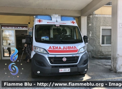 Fiat Ducato X290
Croce Rossa Italiana 
Comitato di Avezzano 
Allestimento Mariani Fratelli 
CRI 201 AF 
Parole chiave: Fiat Ducato X290 CRI201AF