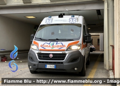 Fiat Ducato X290 
Croce Bianca Pescara 
Allestimento Bell’s Car 
Parole chiave: Fiat Ducato X290 Ambulanza